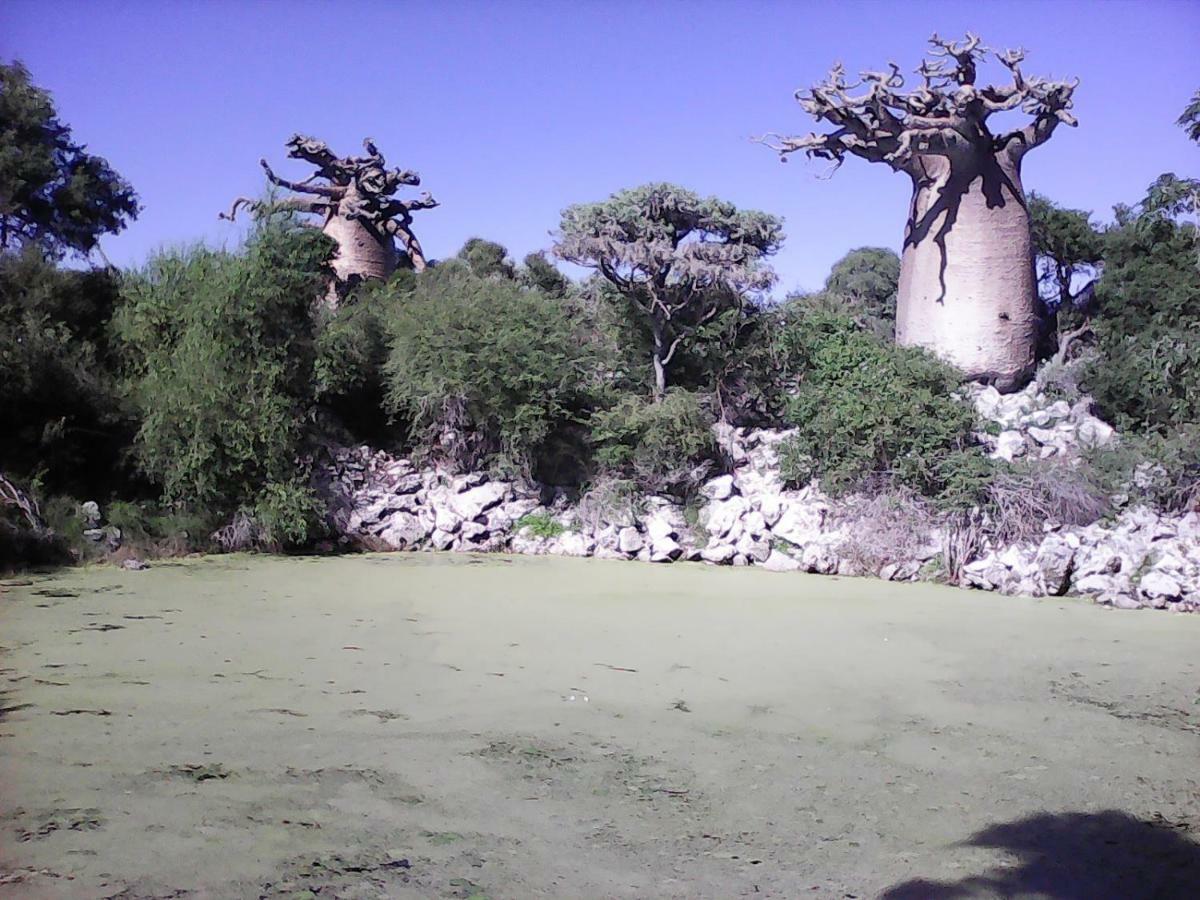 Chez Laurette Morombe Bagian luar foto